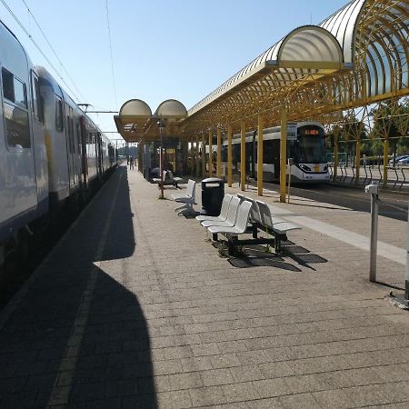 Vakantie Aan Zee เดอปาน ภายนอก รูปภาพ